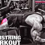 hamstring curl