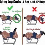 lying leg curl