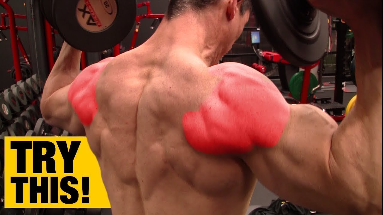 How To Rear Delt Development Exercises Video Guide