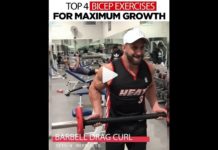 💪TOP 4 BICEPS EXERCISES | Video & Guide👇