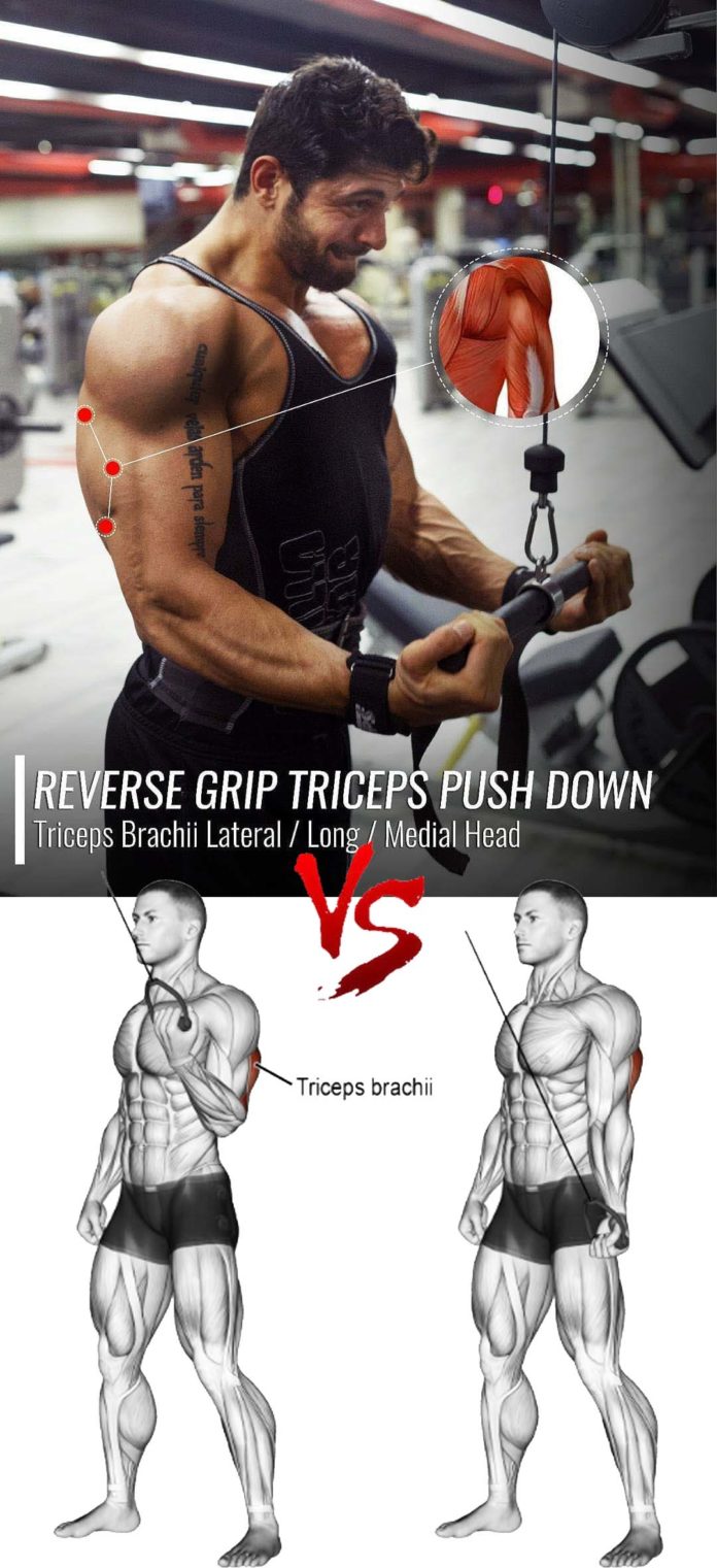 HOW TO REVERSE GRIP TRICEPS PUSHDOWNS