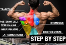 💪HOW TO FULL BACK WORKOUT | VIDEO & GUIDE