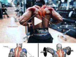 🔥TRAPS HOW TO EXERCISES