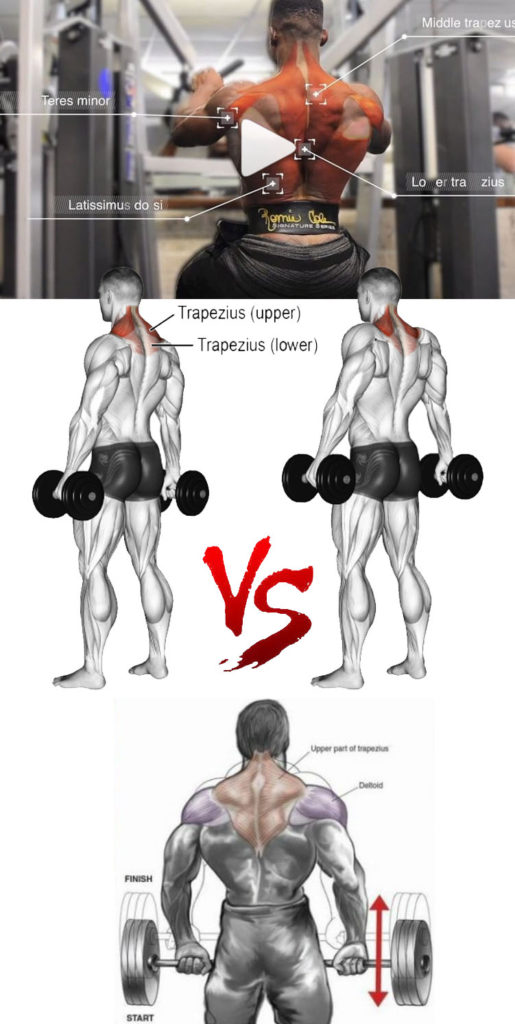 TRAPS HOW TO EXERCISES
