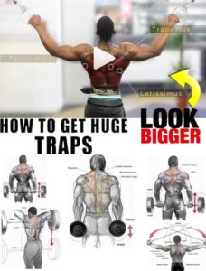 TRAPS HOW TO EXERCISES