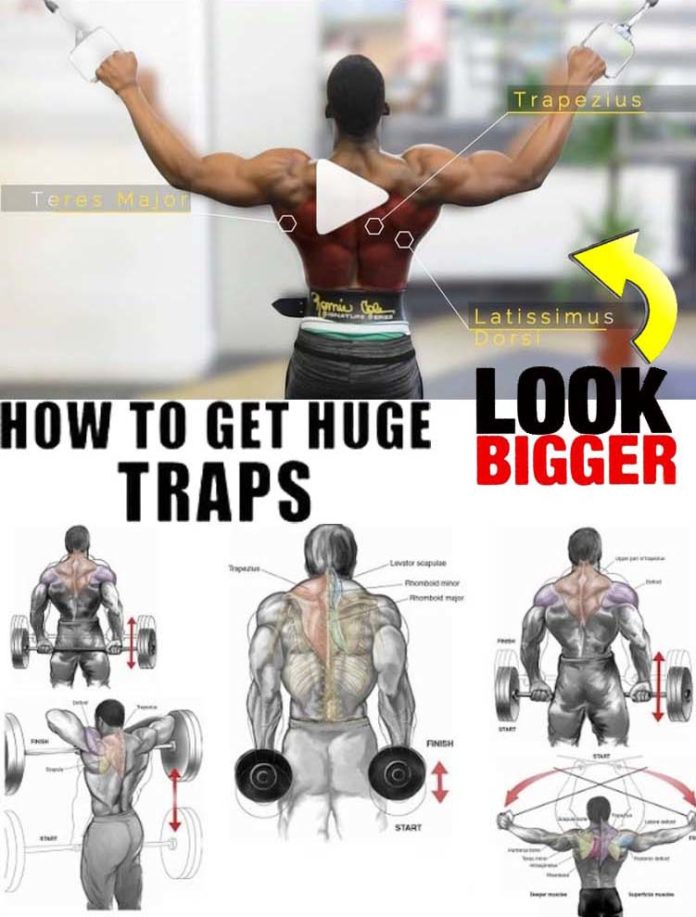 traps-how-to-exercises