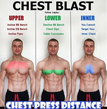 💪How to Chest Press Distance👇 | Guide Chest Press Distance