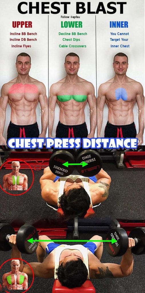 How to Chest Press Distance | Guide