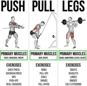 HOW TO PUSH-PULL-LEGS EXERCISES