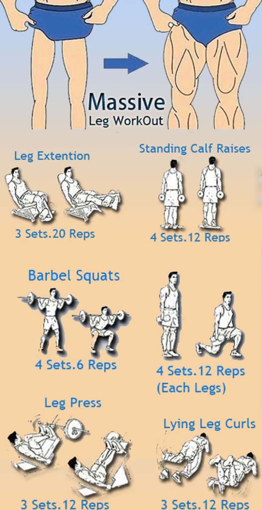 Leg Exercises 