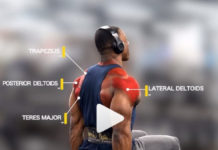 💪Rear Delt Development Exercises | Video & Guide Strict Seated Lateral Raises