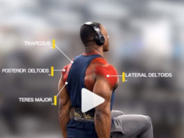 Strict Seated Lateral Raises