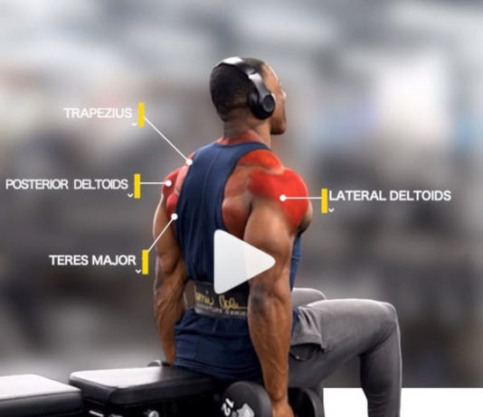 Strict Seated Lateral Raises