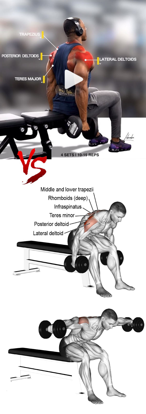 Strict Seated Lateral Raises
