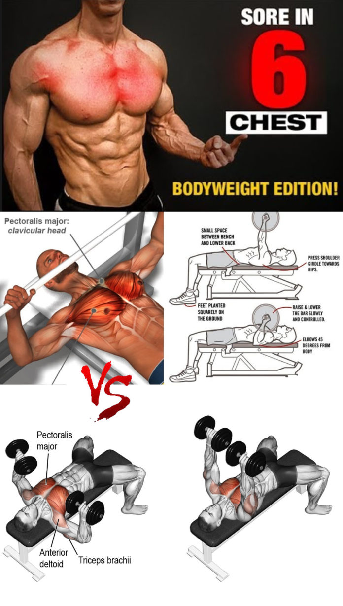 HOW TO FLAT BENCH SMITH MACHINE PRESS