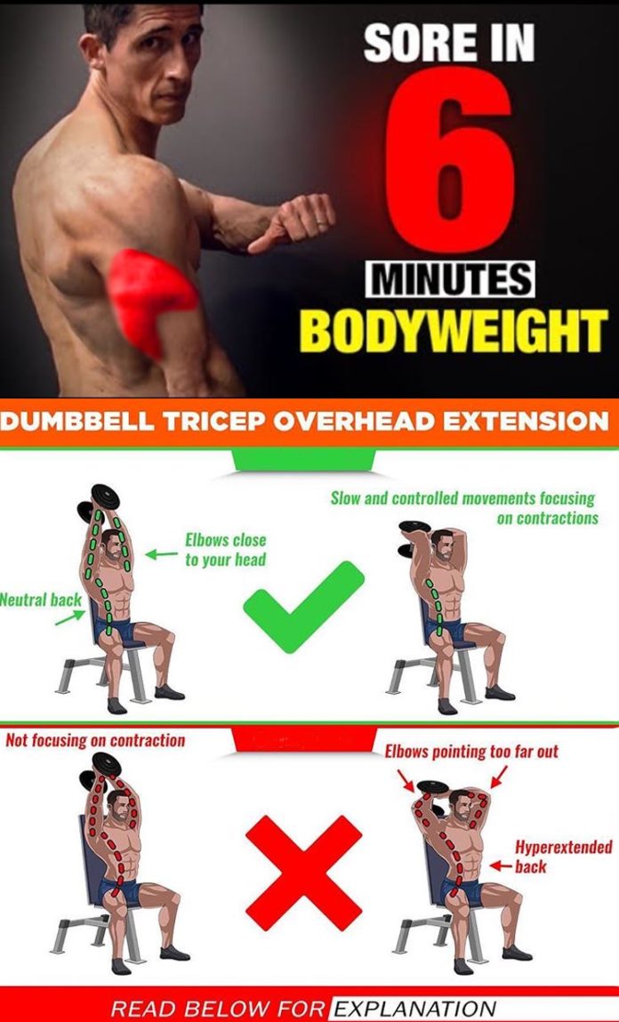 HOW TO TRICEP WORKOUT | VIDEO & GUIDE