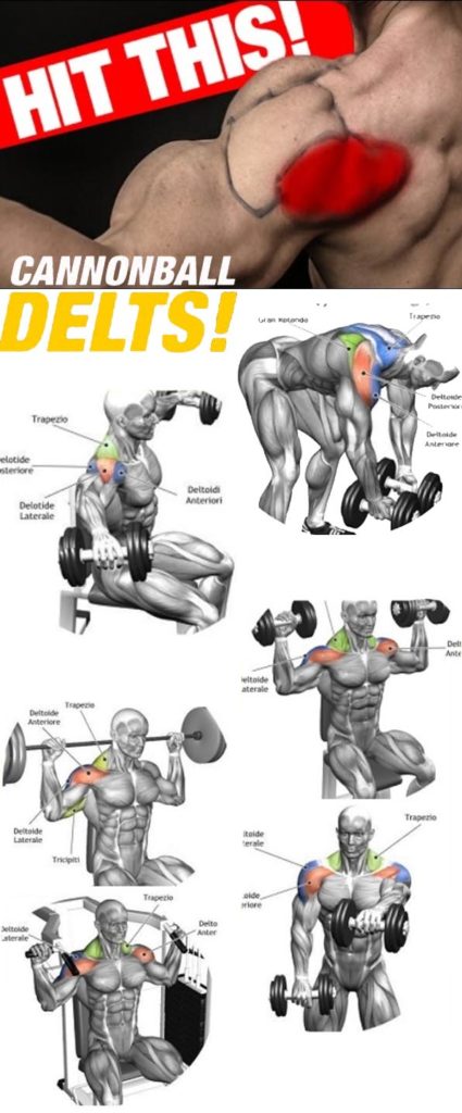 Shoulder Workout Guide 