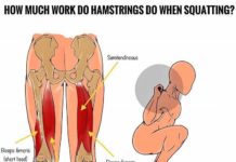 🚨GROW YOUR HAMSTRINGS THROUGH SQUATS?