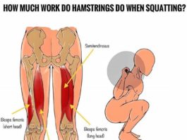 🚨GROW YOUR HAMSTRINGS THROUGH SQUATS?