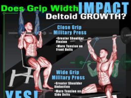 🔥How to Deltoid Growth Workout | Guide