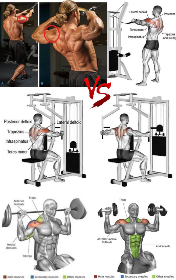 How to Delts Exercises Sets & Reps Guide