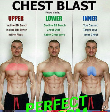 🚨HOT TOP CHEST WORKOUT | PICTURE & GUIDE👇