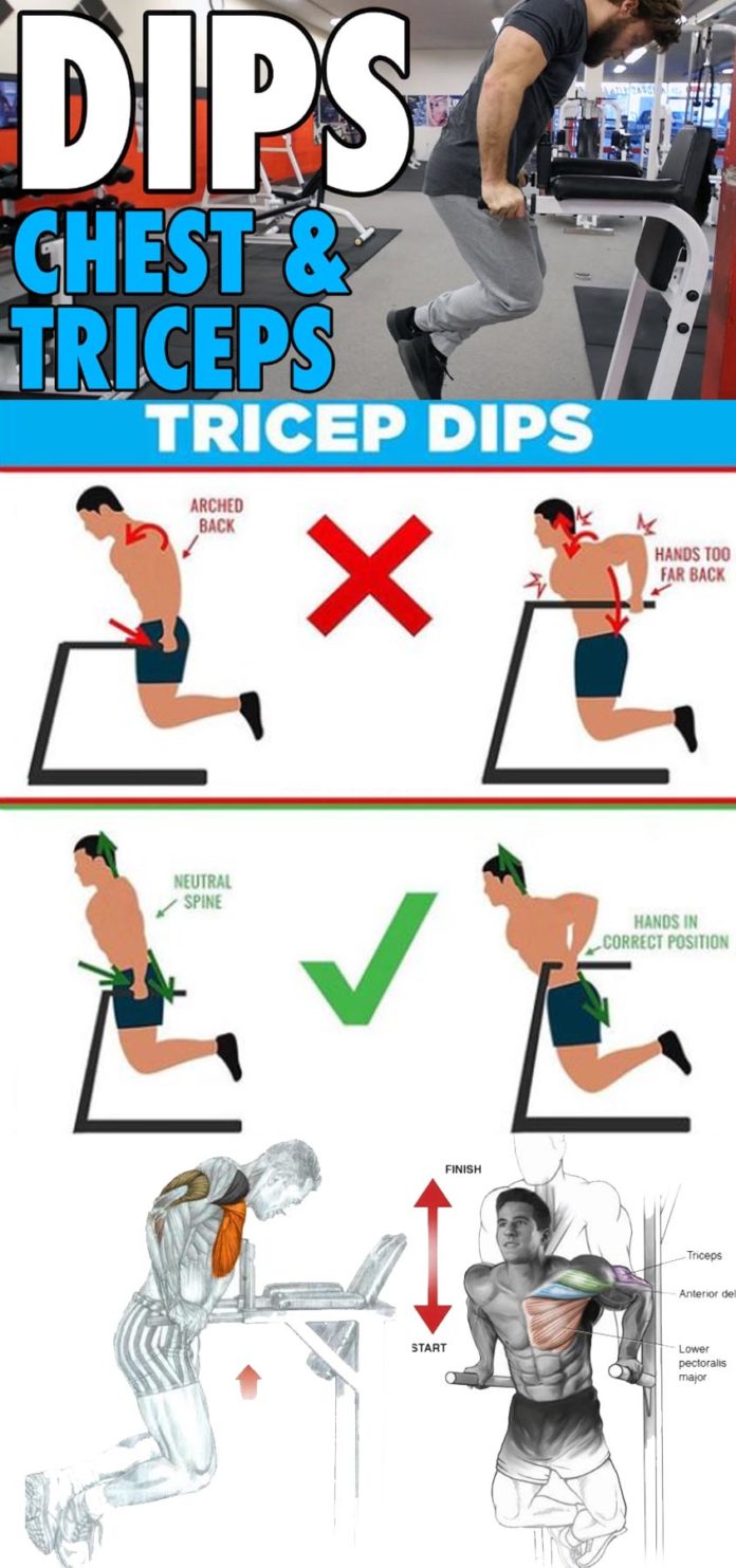 Chest Dips vs Tricep Dips Guide & Video