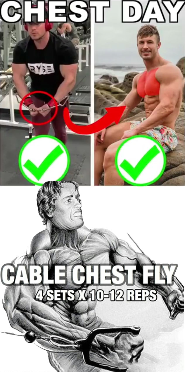 Cable Chest FLY