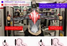 🔥PEC DECK REAR DELT FLY | GUIDE