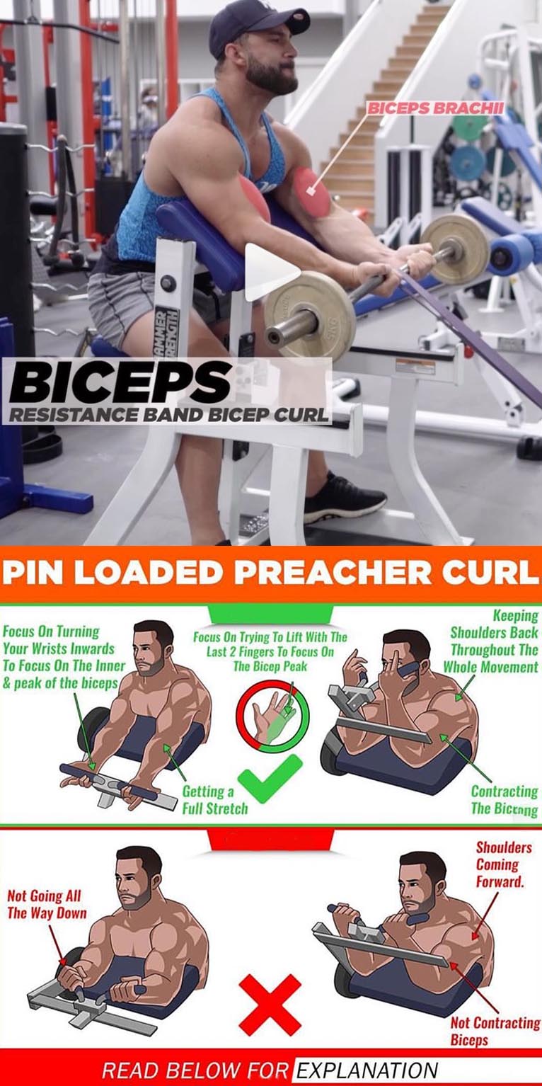 PREACHER CURL WITH BAND