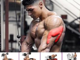 🔥TUTORIAL GAIN MASS TRICEPS