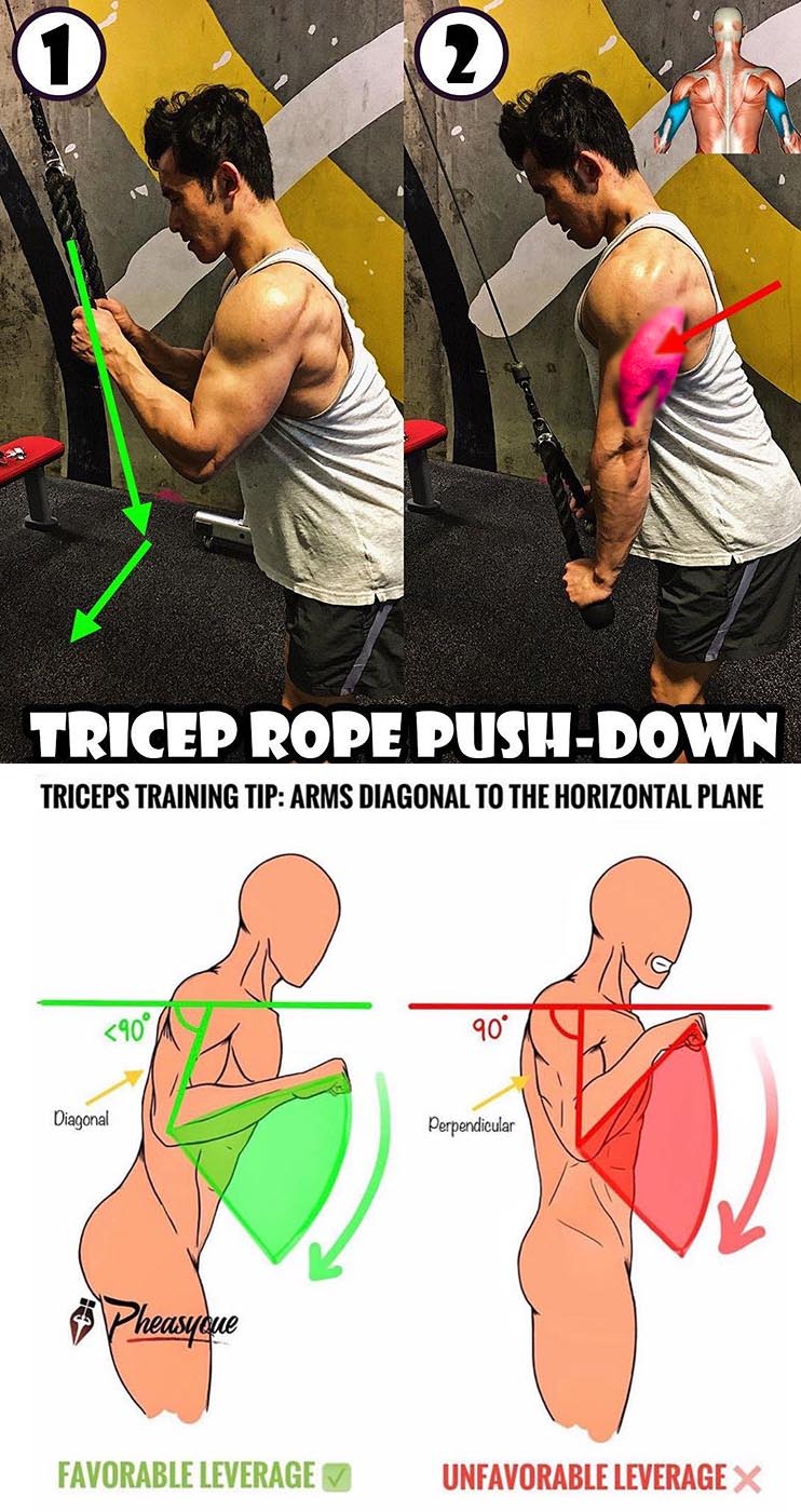 Tricep Rope Push Downs