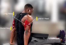 🚨How to Bench Tricep Dips 👇| Video & Guide