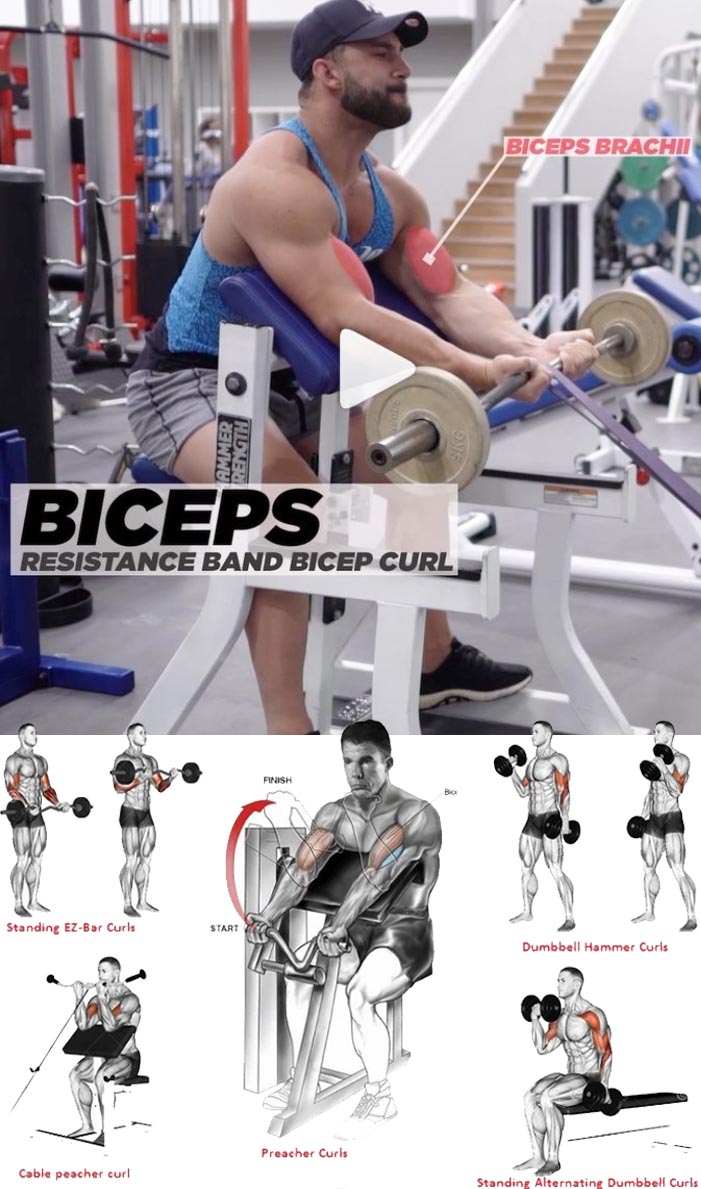 Biceps Resistance Band bicep curl