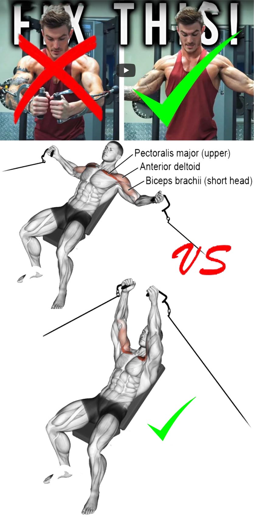 Decline cable fly VS Chest Cable Fly