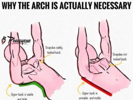 🔥WHY THE BENCH ARCH IS ACTUALLY NECESSARY