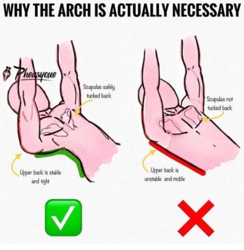 🔥WHY THE BENCH ARCH IS ACTUALLY NECESSARY