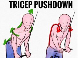 🚨TRICEP PUSHDOWN | GUIDE