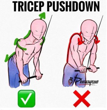 🚨TRICEP PUSHDOWN | GUIDE