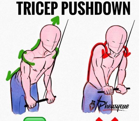 🚨TRICEP PUSHDOWN | GUIDE