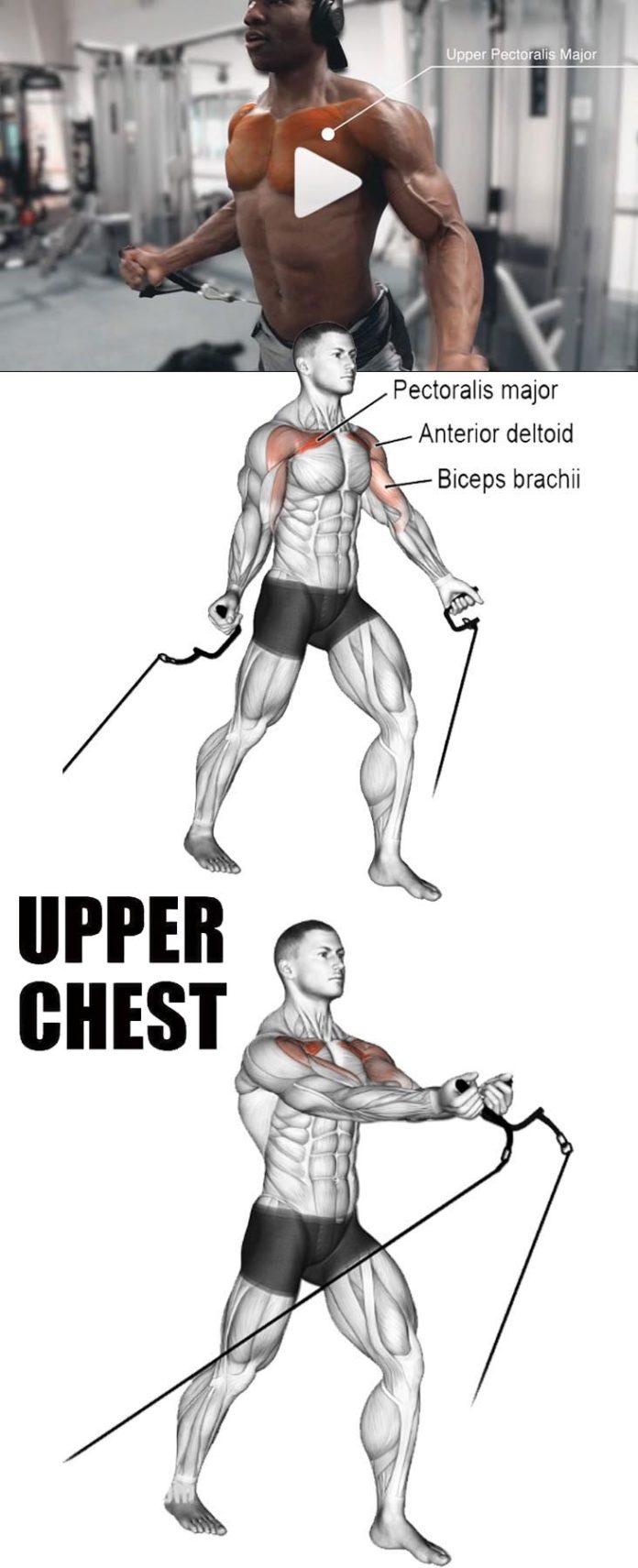 How to LowPulley Chest Video & Guide