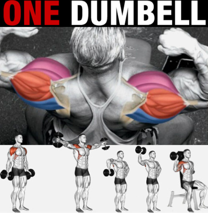 DUMBBELL ONLY FULL BODY WORKOUT