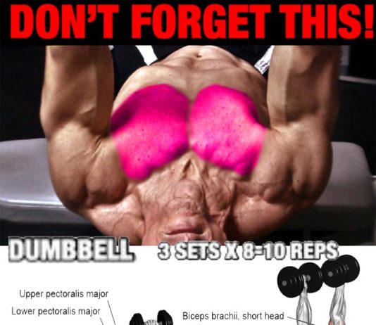 Incline Dumbbell Bench Press