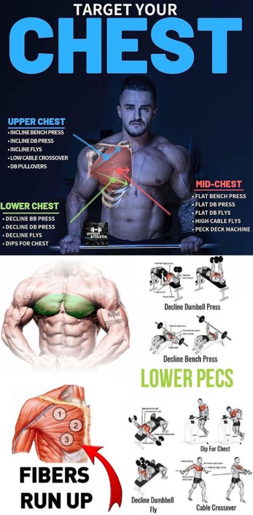 Chest Exercises Tutorial | Video & Guide