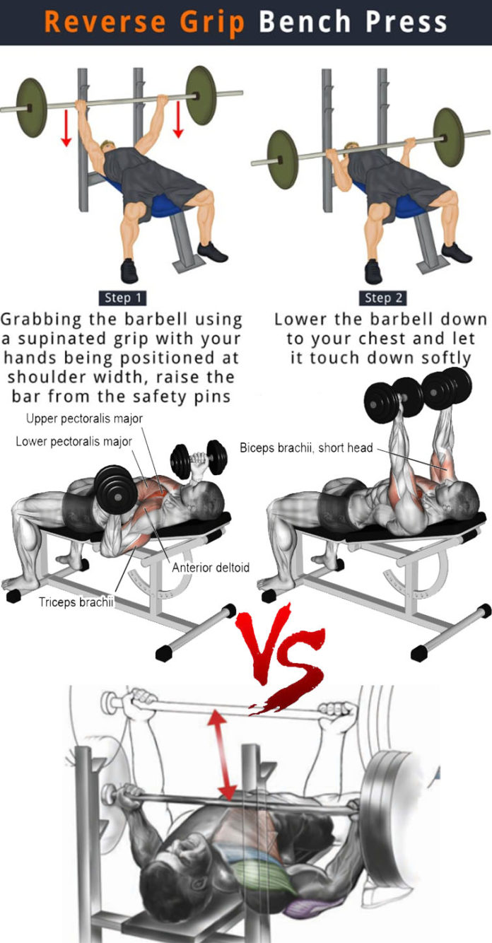 HOW TO REVERSE BENCH EXERCISES GUIDE