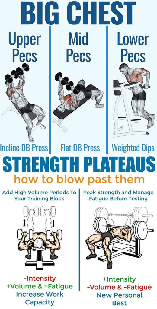 HOW TO BUILD YOUR CHEST | GUIDE