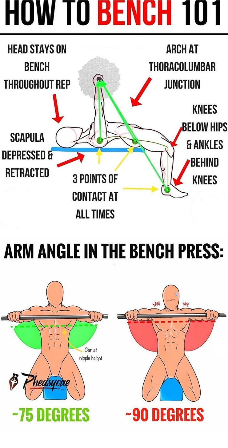 HOW TO BENCH PRESS