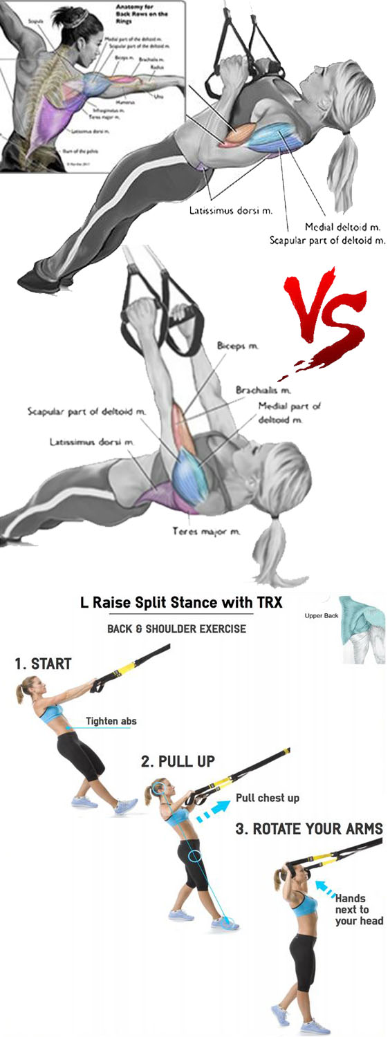 Full Body TRX Workout Guide Fitness Lifestyle