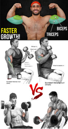 HOW TO BICEPS SPLIT WORKOUT