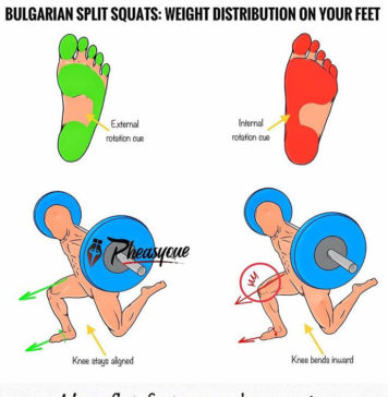 🚨HOW TO BULGARIAN SPLIT SQUATS